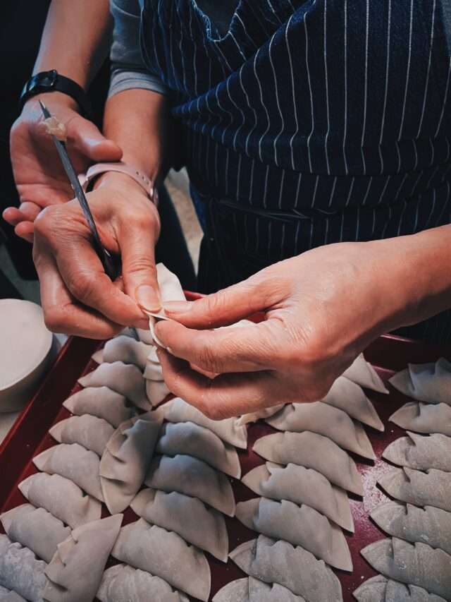 Best Homemade Gyoza Dumplings