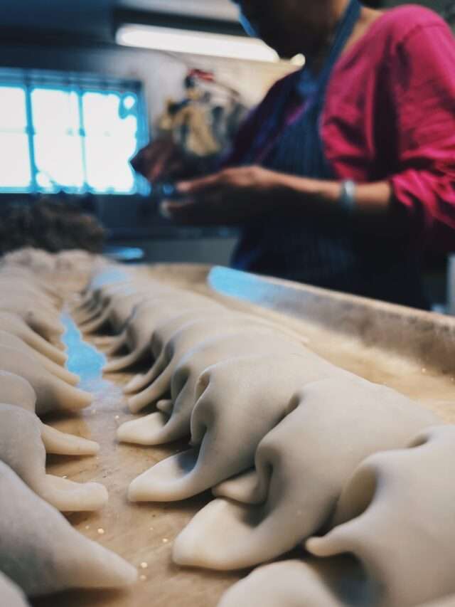 Best Homemade Gyoza Dumplings