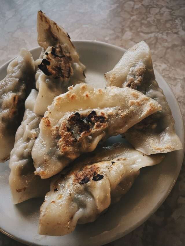 Best Homemade Gyoza Dumplings
