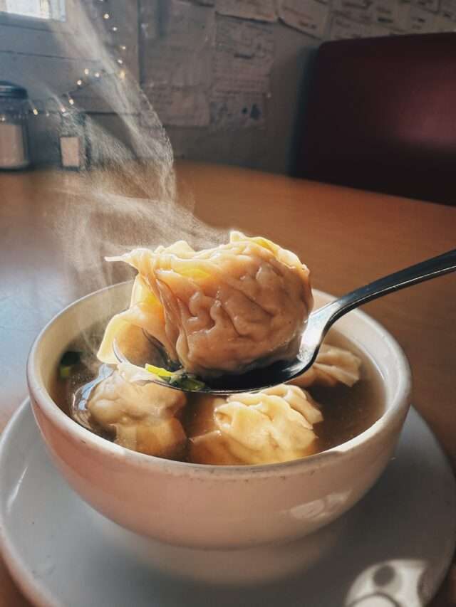 Homemade Wontons