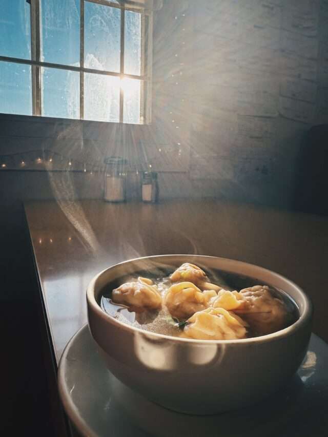 Homemade Wontons