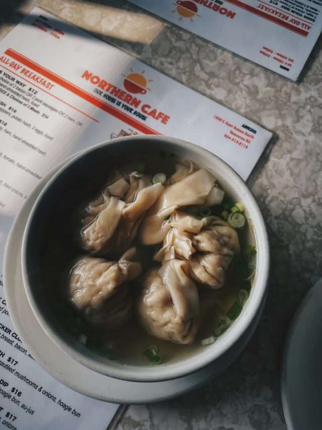 Homemade Wontons
