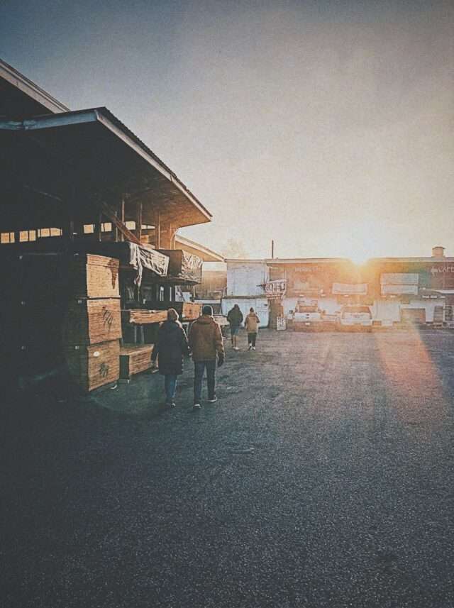 Northern Cafe Sunset