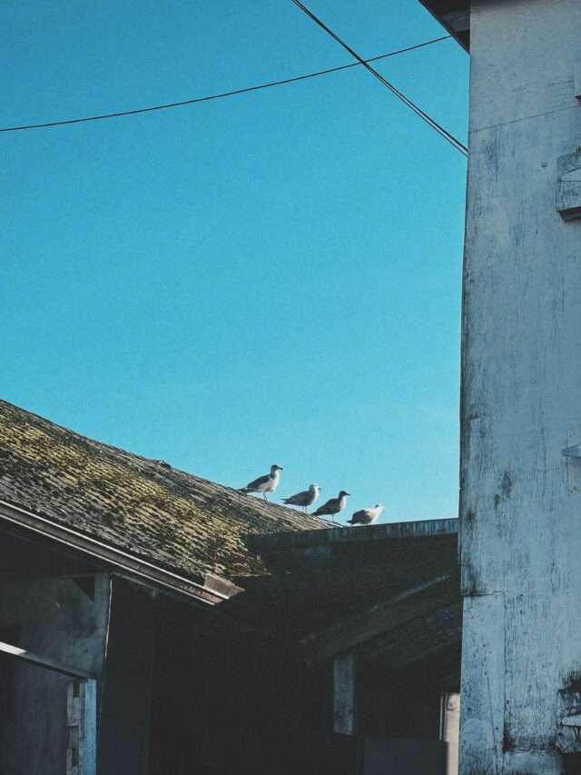early breakfast Vancouver