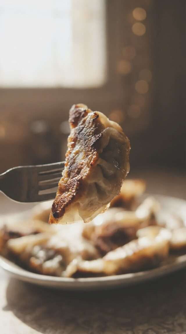 Best Dumplings in Vancouver